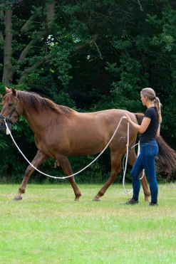 Sale F.R.A. Freedom Riding Articles Flinn Working Line Cotton, 820 cm Lunge Lines & Lunging Ropes|Lunge Lines & Lunging Ropes