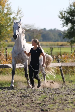Sale F.R.A. Freedom Riding Articles Flinn Working Line Cotton, 820 cm Lunge Lines & Lunging Ropes|Lunge Lines & Lunging Ropes