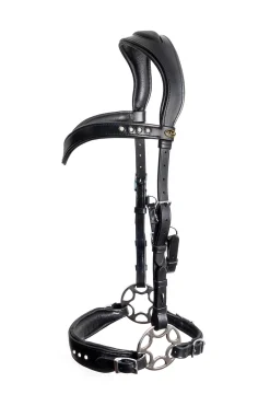 Online F.R.A. Freedom Riding Articles Glory Hackamore Bridle With Reins (System 2), Hackamores|Bridles & Nosebands