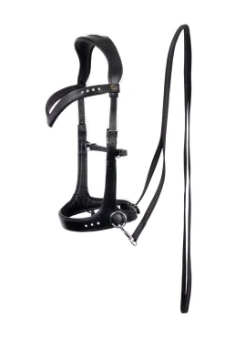 Best F.R.A. Freedom Riding Articles Glory Sidepull With Reins (System 3), Bridles & Nosebands