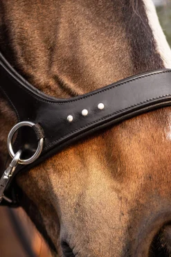 Best F.R.A. Freedom Riding Articles Glory Sidepull With Reins (System 3), Bridles & Nosebands