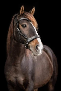 Best F.R.A. Freedom Riding Articles Glory Sidepull With Reins (System 3), Bridles & Nosebands
