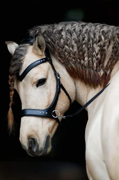 Best F.R.A. Freedom Riding Articles Glory Sidepull With Reins (System 3), Bridles & Nosebands
