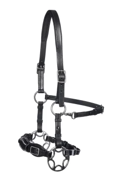 Discount F.R.A. Freedom Riding Articles Miranti Hackamore (System 2) Leather, Jaw Straps, w/ Scissors Bridles & Nosebands