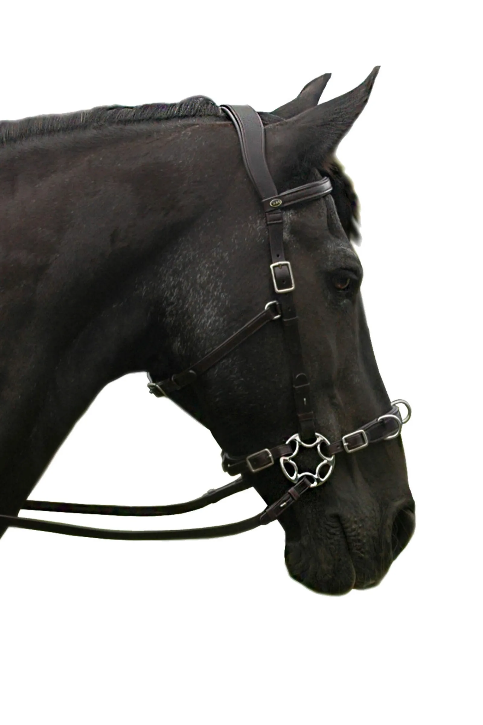 Hot F.R.A. Freedom Riding Articles Caval Compl. Cavemore Bridle (Syst.2) w/ Scissors & Reins Bridles & Nosebands
