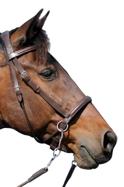 Outlet F.R.A. Freedom Riding Articles El Camin Bitless Bridle (System 5) w/ soft Reins Bridles & Nosebands