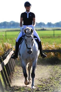 Clearance F.R.A. Freedom Riding Articles Calli Hackamore Bridle With Reins (System 2) Bridles & Nosebands