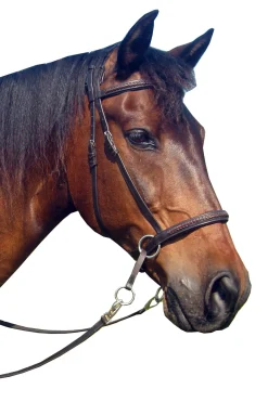 Outlet F.R.A. Freedom Riding Articles Ulan Bitless Bridle (System 5) Leather w/ Leather Reins Bridles & Nosebands