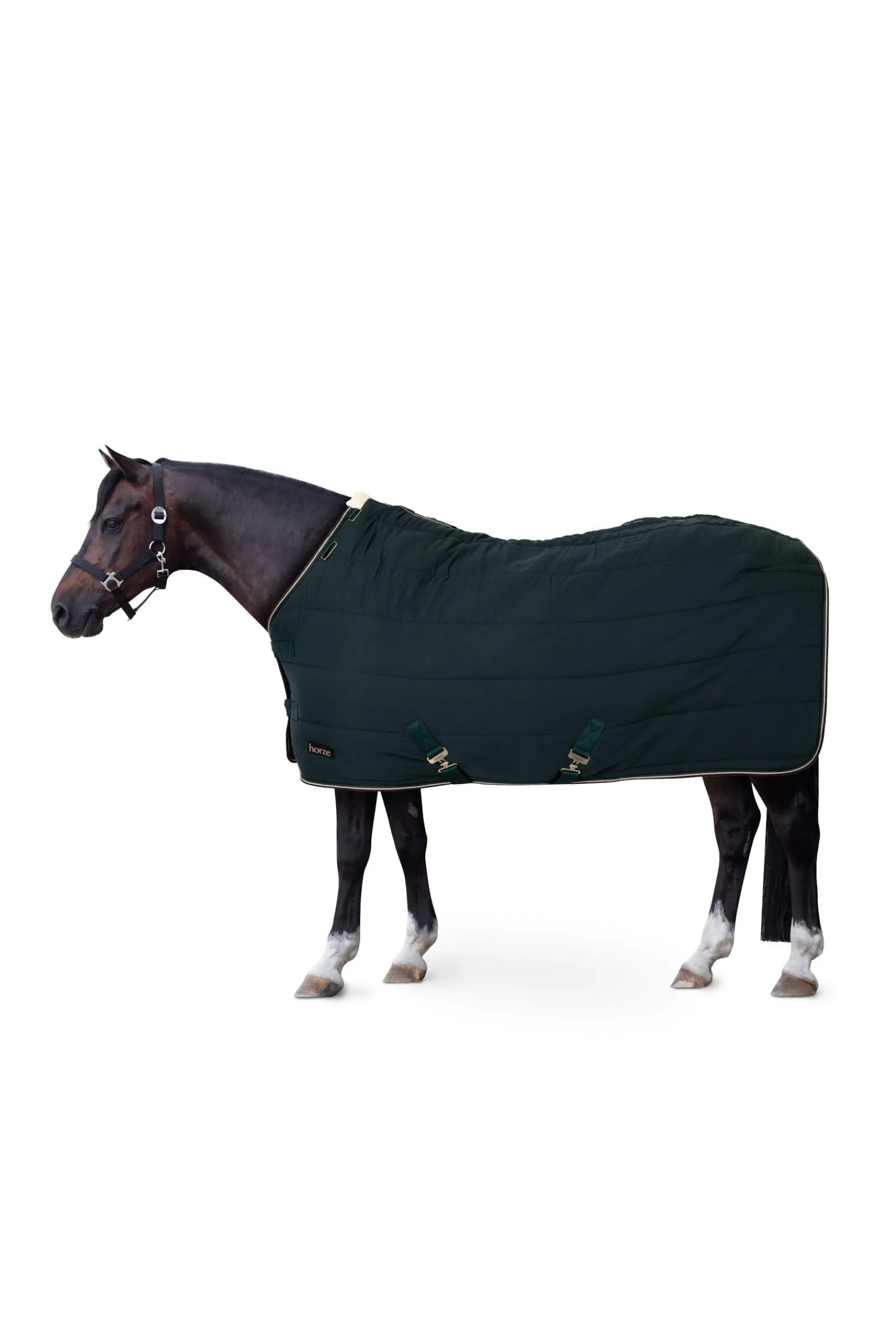 Online Glasgow pony stable rug Stable Rugs & Liners