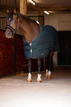 Online Glasgow pony stable rug Stable Rugs & Liners