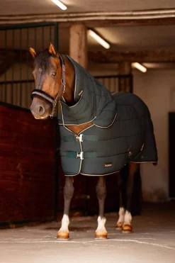 New Glasgow pony stable rug hood Horse Hoods