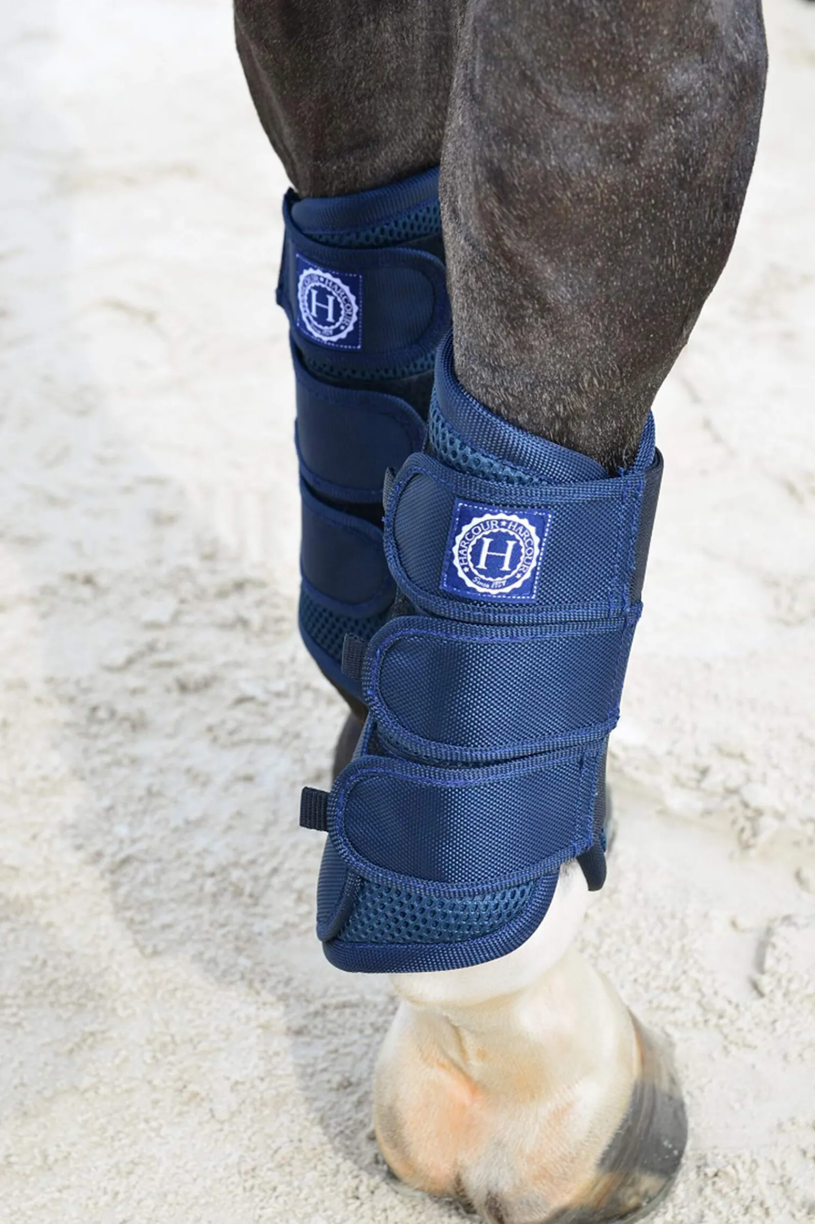 Best Cosmic Mesh Tendon Boots Horse Boots
