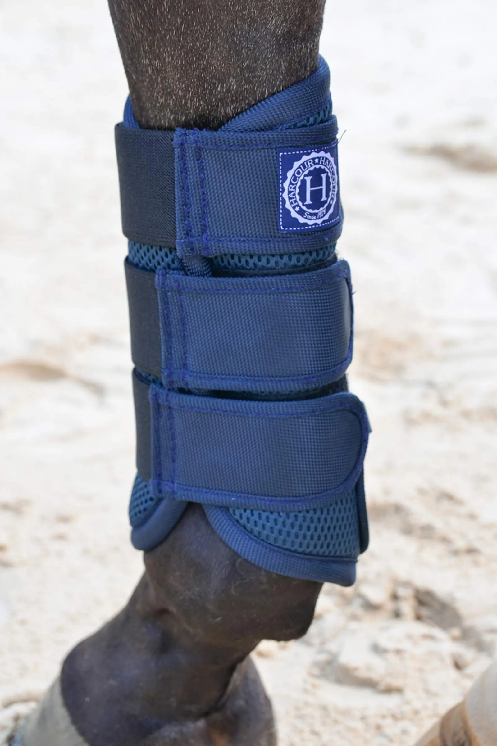 Best Cosmic Mesh Tendon Boots Horse Boots