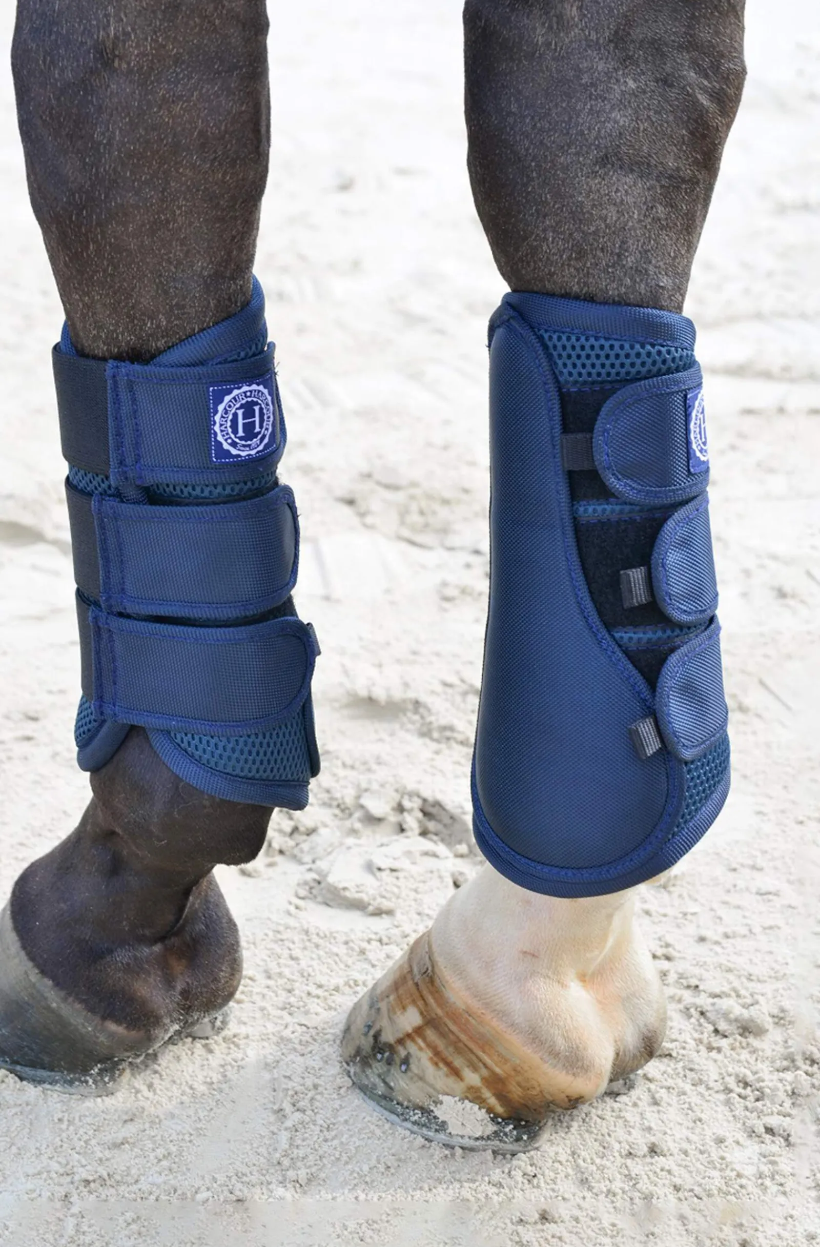 Best Cosmic Mesh Tendon Boots Horse Boots