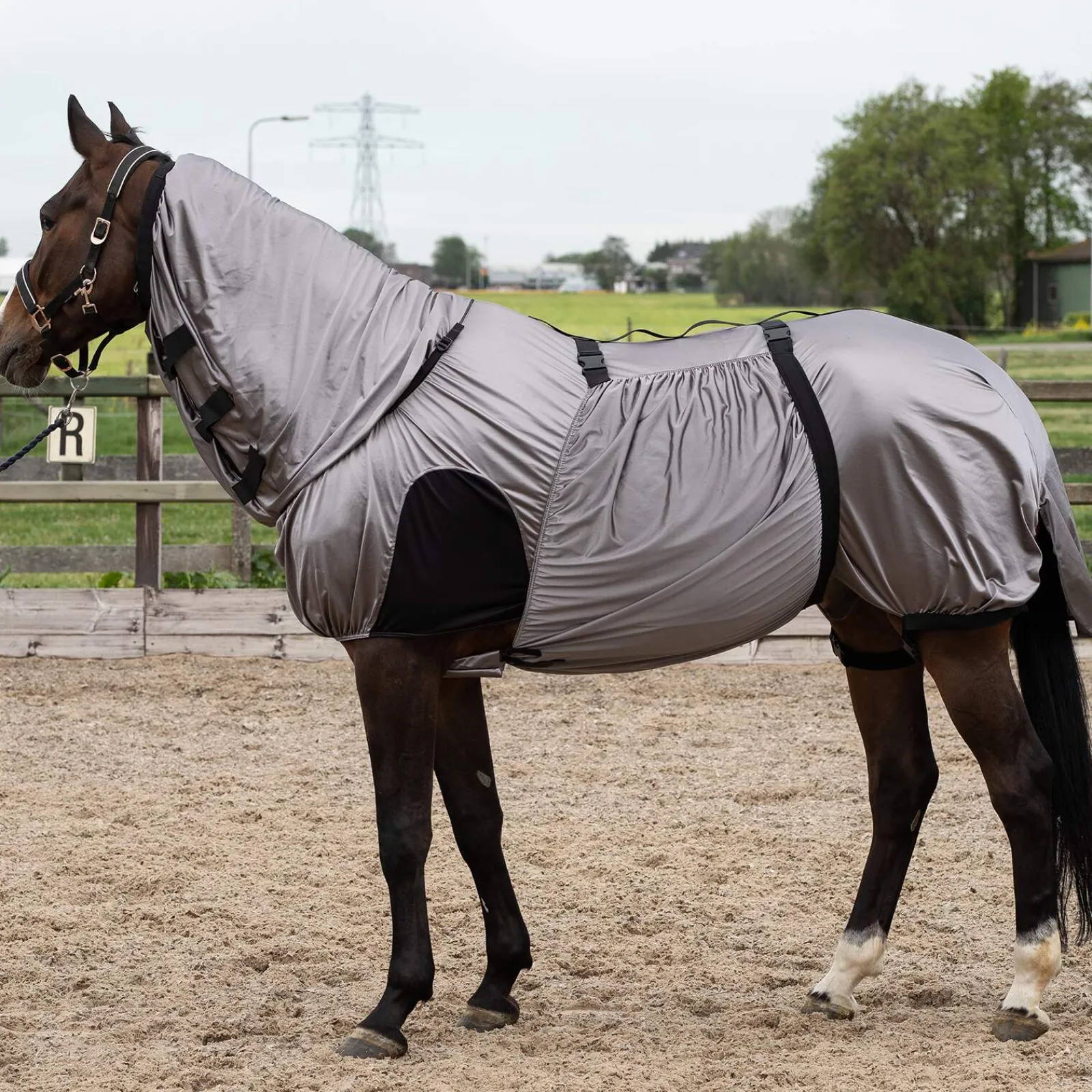 Best Harry Sweet Itch Rugs|Sweet Itch Rugs
