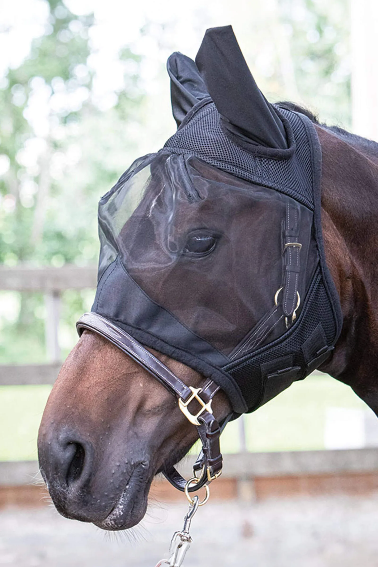 Clearance Harry Fly Masks & Fringes|Fly Masks & Fringes