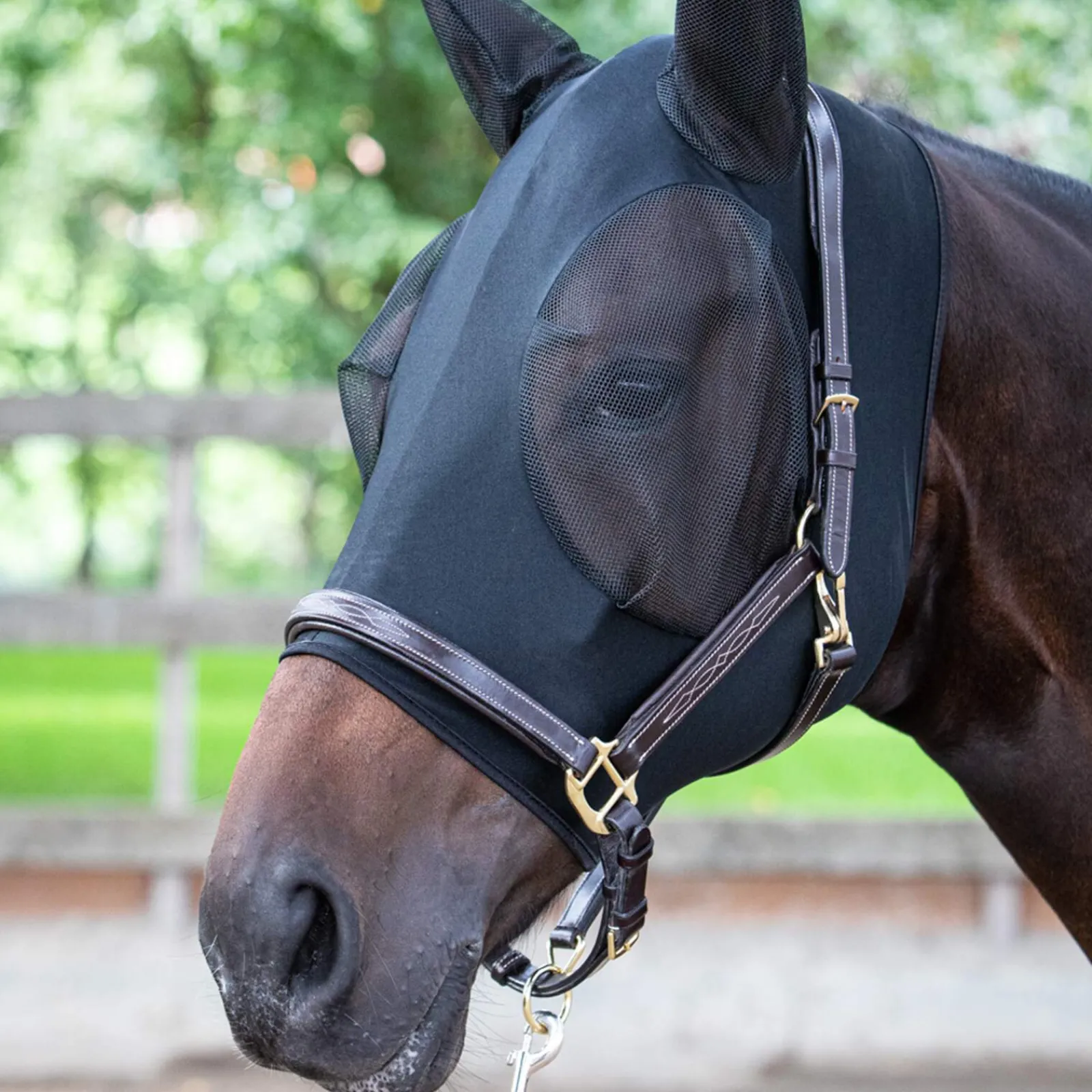 Outlet Harry Fly Masks & Fringes|Fly Masks & Fringes