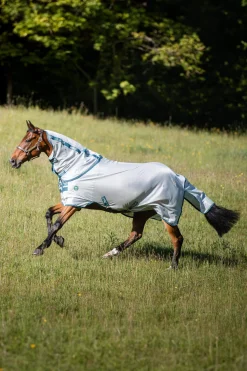 Hot AmEco Bug Rug Fly Rugs|Fly Rugs