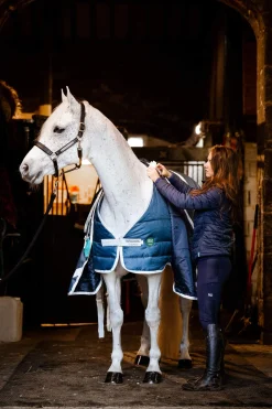 Clearance AmEco Liner, 100g Stable Rugs & Liners