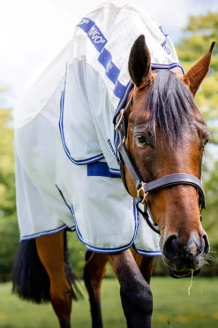 Sale Amigo Airflow Fly Rug With Detachable Neck Fly Rugs|Fly Rugs