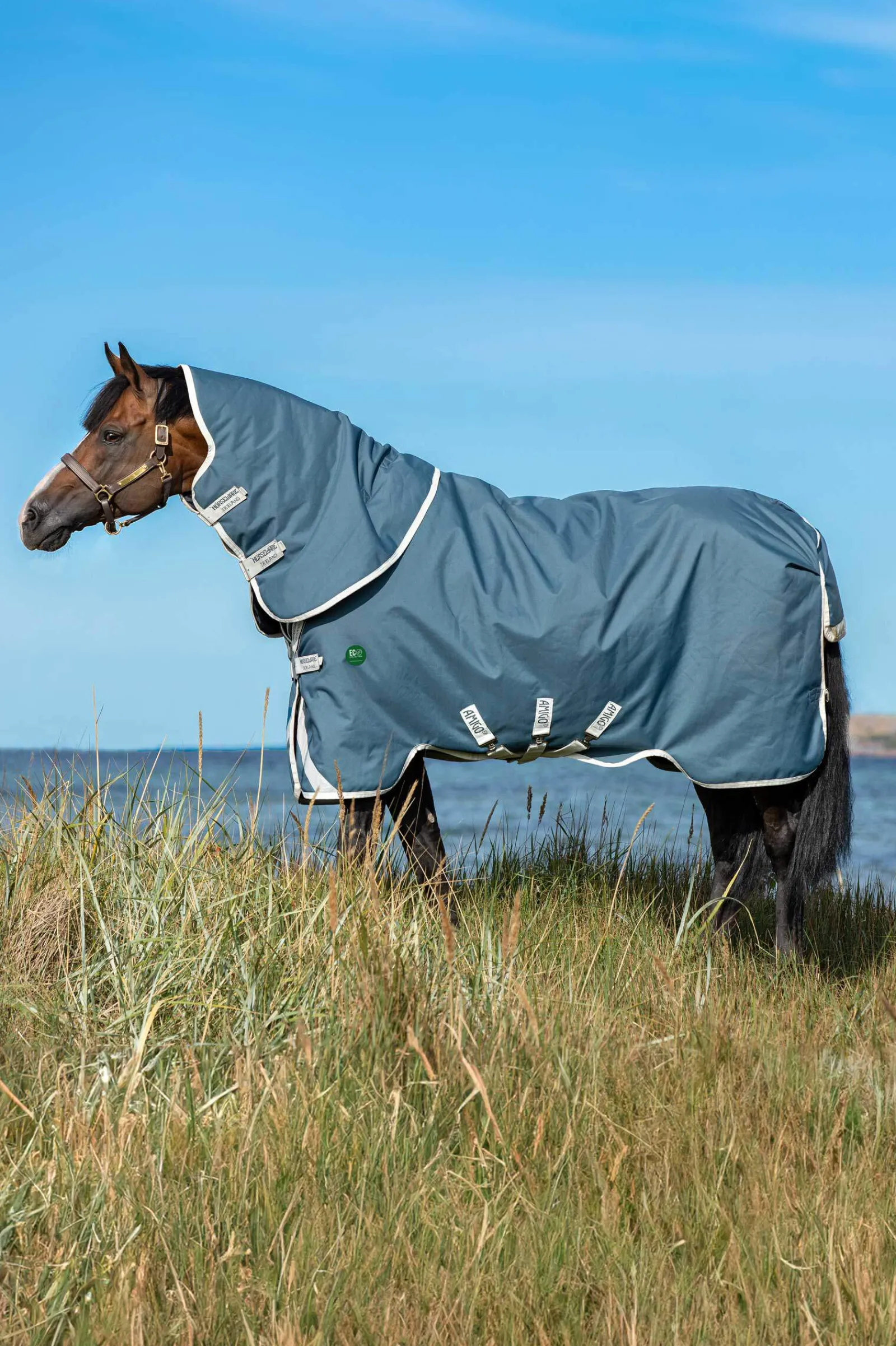 Best Amigo AmEco 12 Plus Turnout Rug With Detachable Neck, 100g Lightweight Turnout Rugs