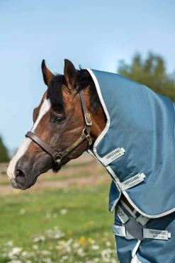 New Amigo AmEco 12 Plus Turnout Rug With Detachable Neck, 0g Lightweight Turnout Rugs