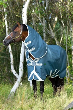 New Amigo AmEco 12 Plus Turnout Rug With Detachable Neck, 0g Lightweight Turnout Rugs