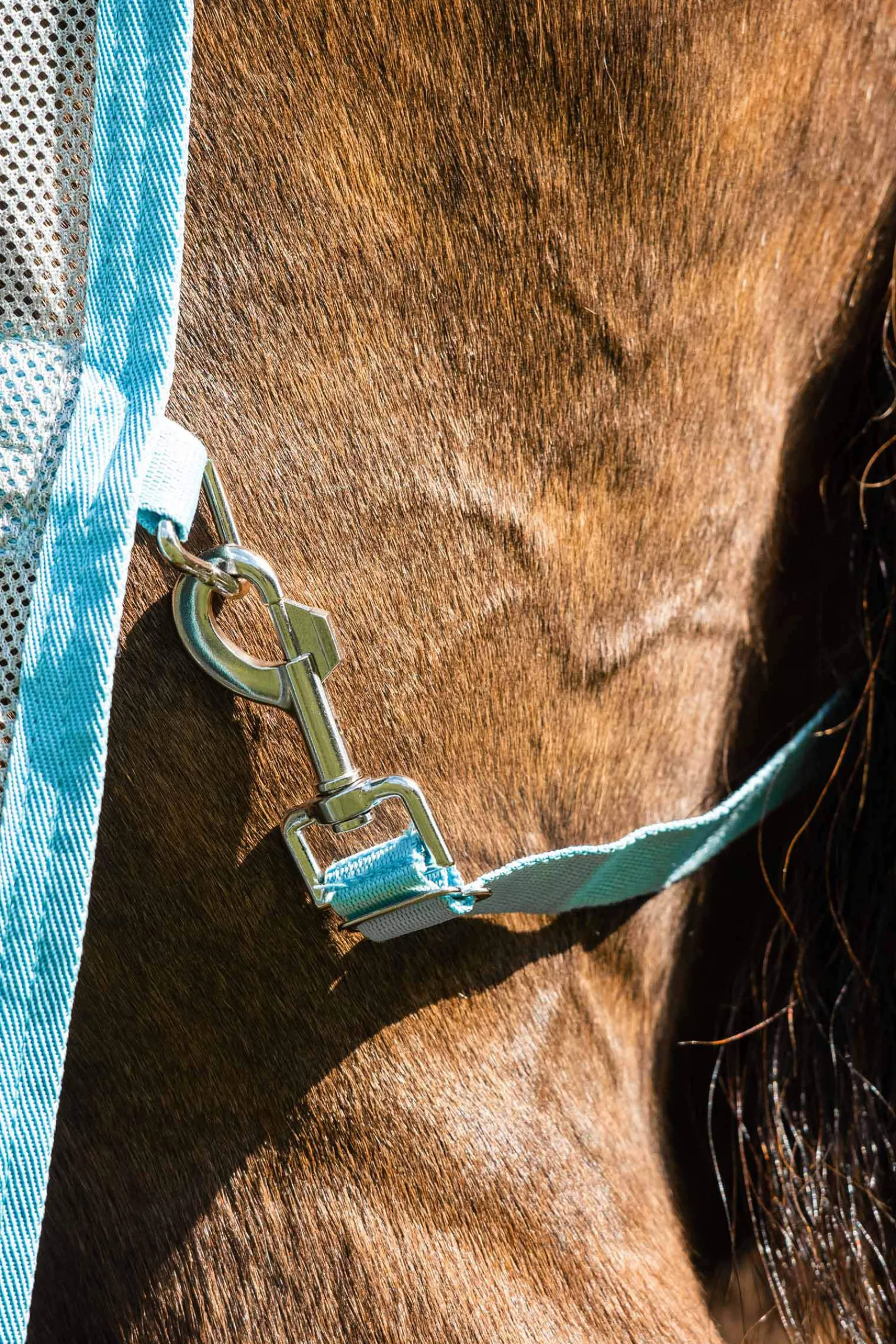 New Amigo AmEco Bug Buster Fly Rug With Detachable Neck Fly Rugs|Fly Rugs
