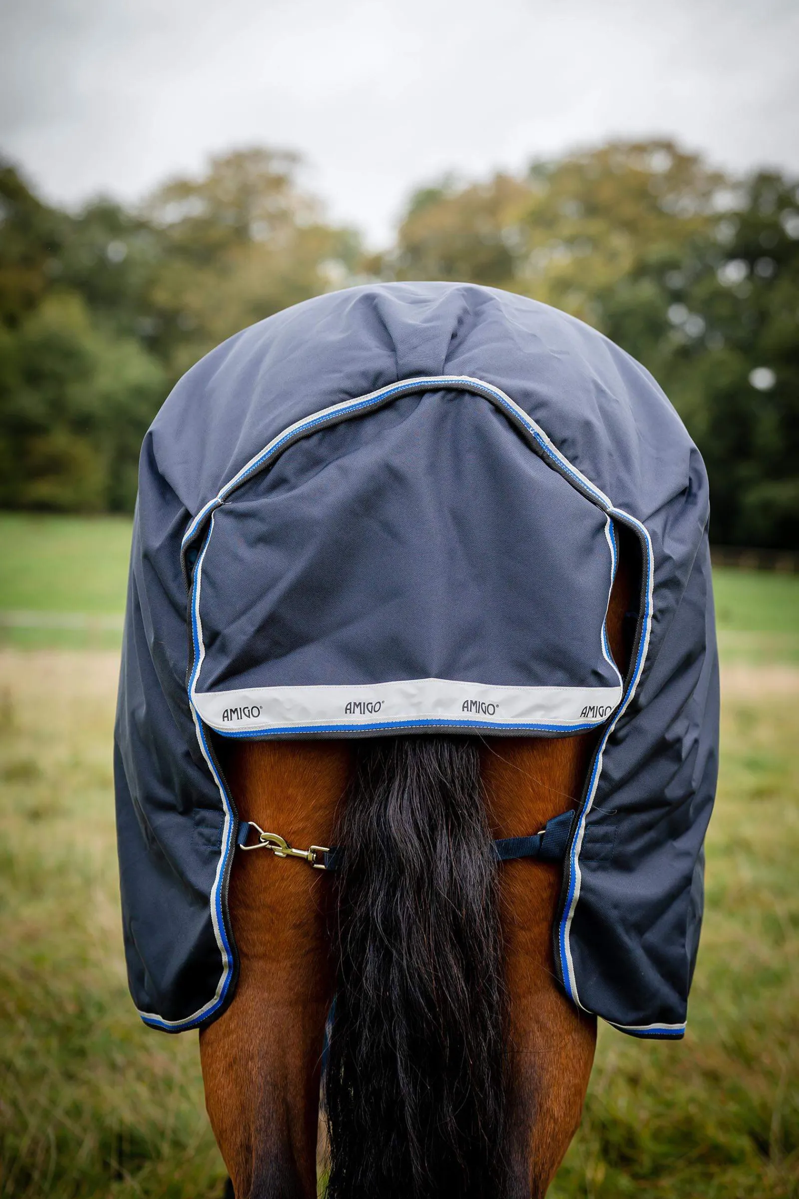 Outlet Amigo Bravo 12 Original Turnout Rug, 250g Medium & Heavyweight Turnout Rugs
