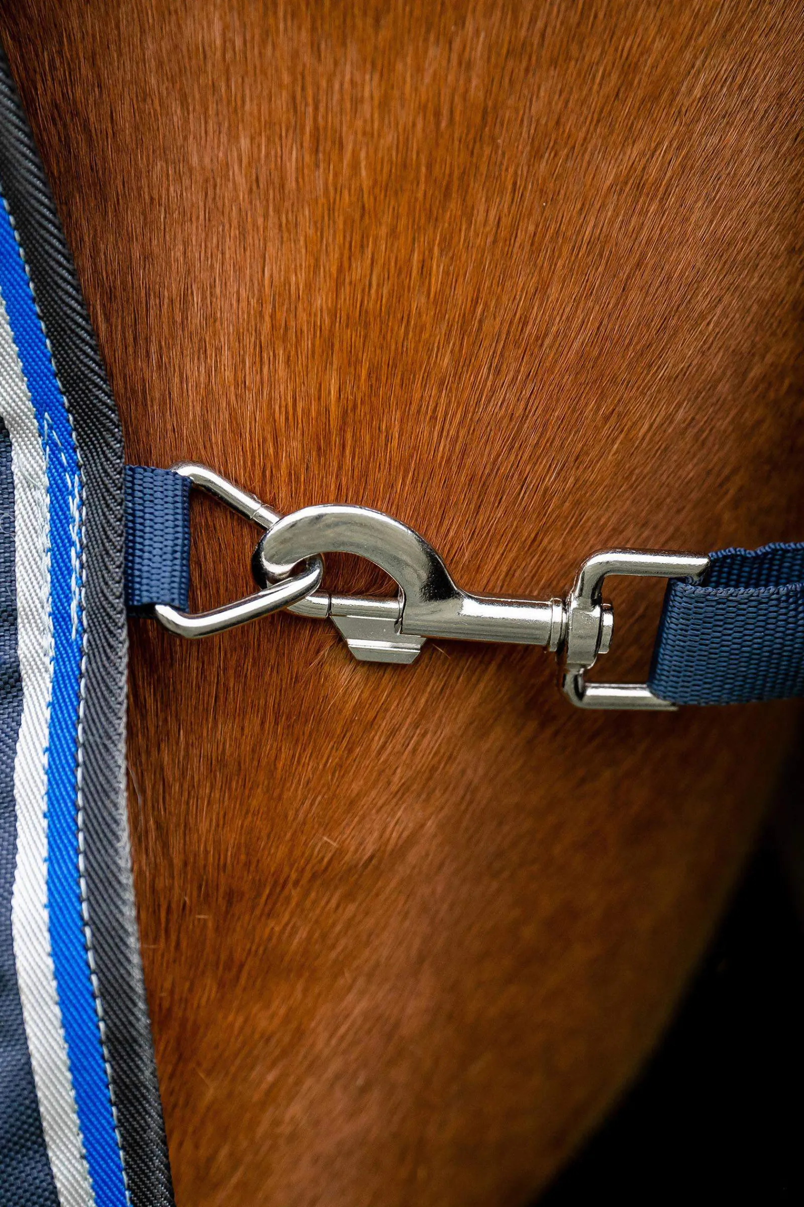 Outlet Amigo Bravo 12 Original Turnout Rug, 250g Medium & Heavyweight Turnout Rugs