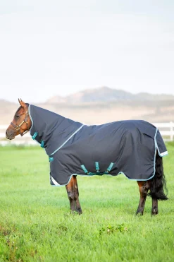 Outlet Amigo Bravo 12 Plus Turnout Rug, 250g Medium & Heavyweight Turnout Rugs