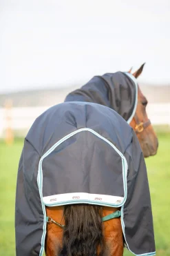 Outlet Amigo Bravo 12 Plus Turnout Rug, 250g Medium & Heavyweight Turnout Rugs