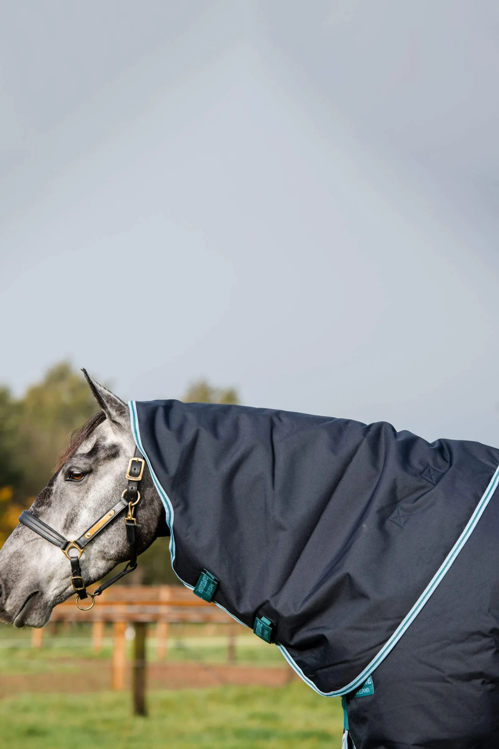 Outlet Amigo Bravo 12 Plus Turnout Rug, 250g Medium & Heavyweight Turnout Rugs