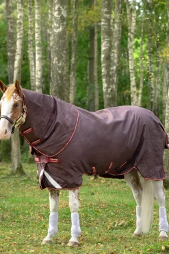 Hot Amigo Bravo 12 Plus Turnout Rug With Detachable Neck, 100g Lightweight Turnout Rugs