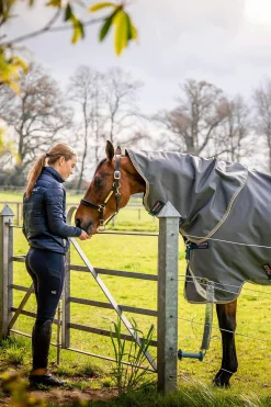 Online Amigo Bravo 12 Plus Turnout Rug With Detachable Neck, 0g Lightweight Turnout Rugs