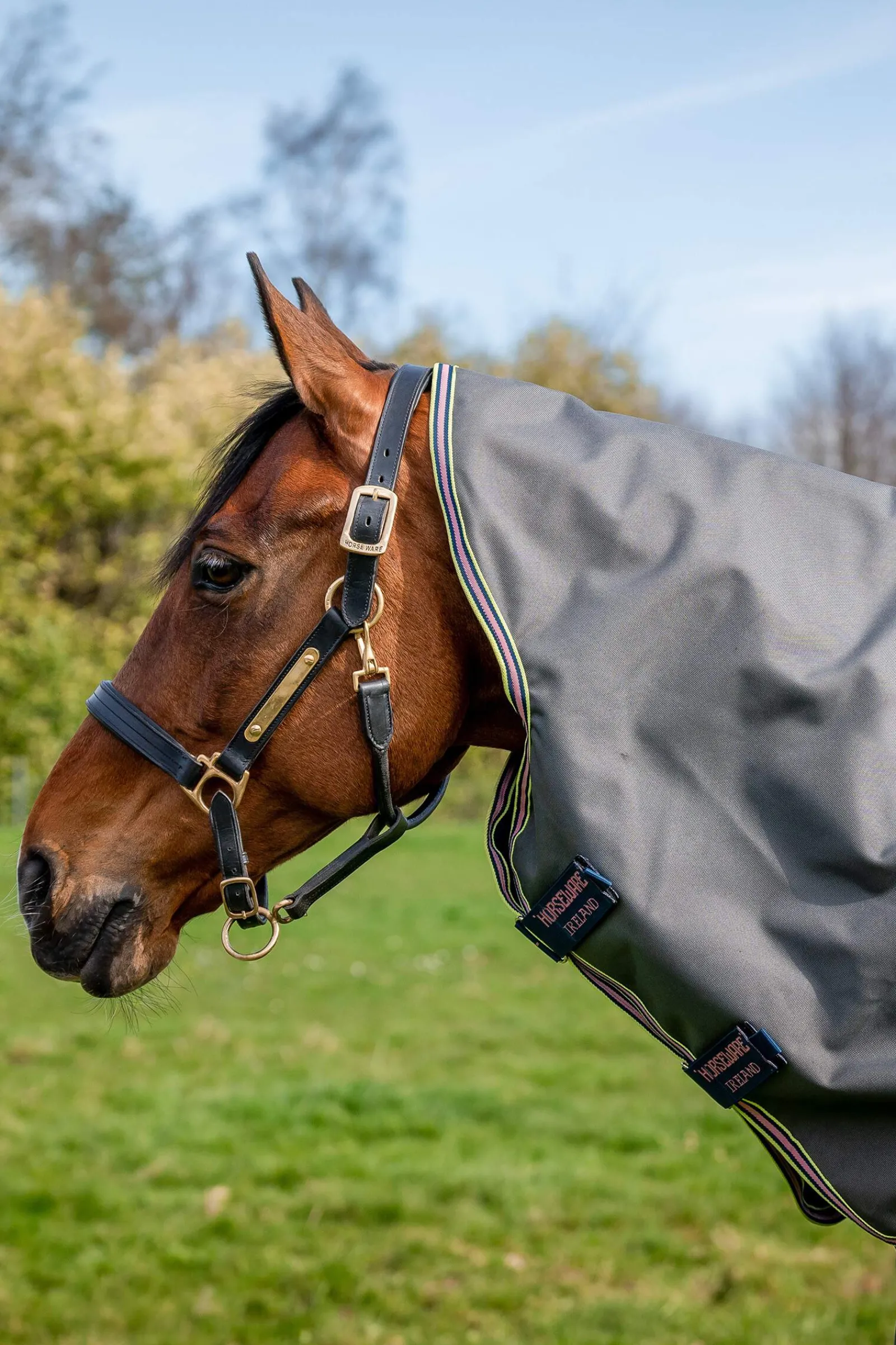 Online Amigo Bravo 12 Plus Turnout Rug With Detachable Neck, 0g Lightweight Turnout Rugs