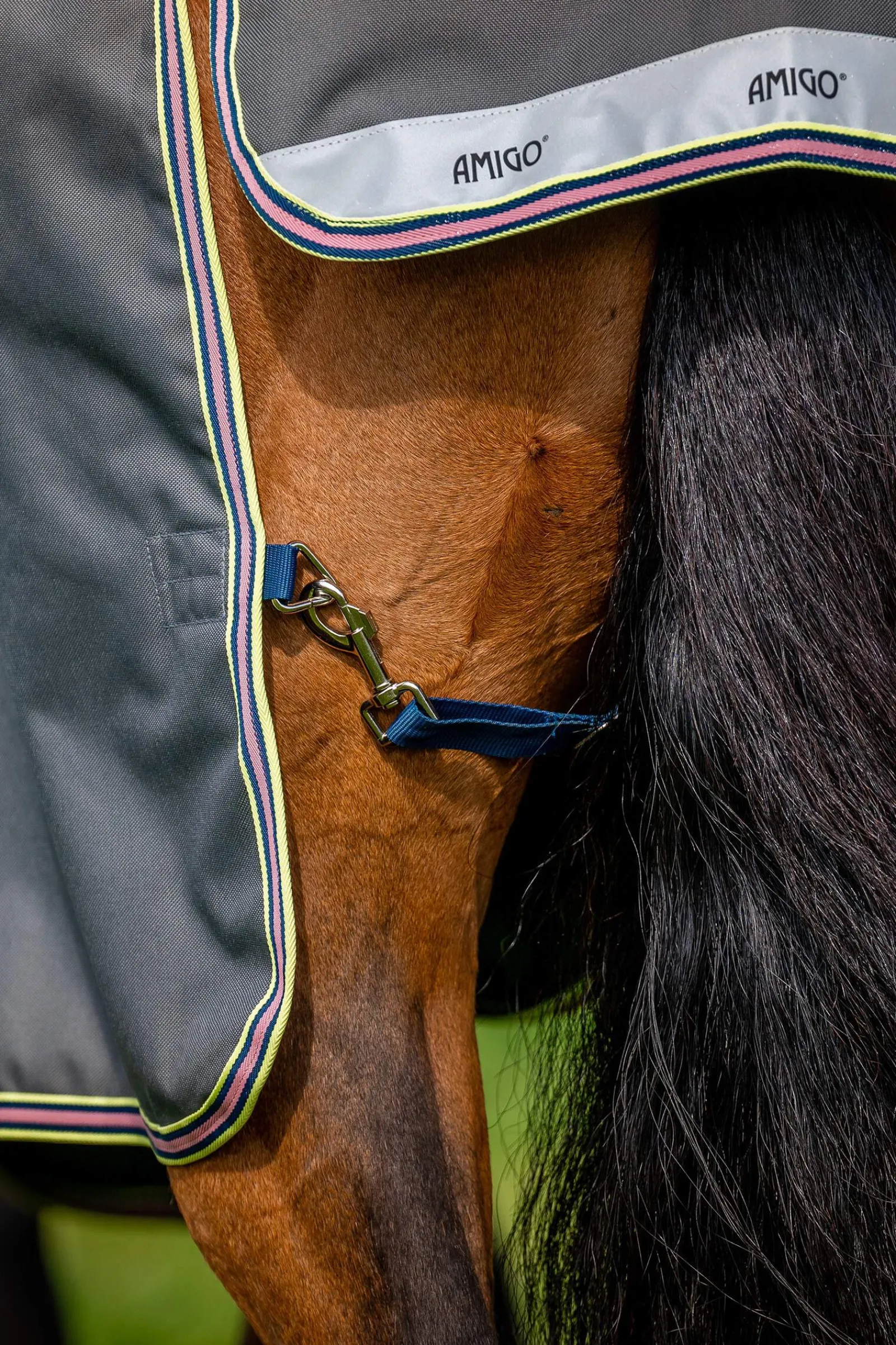 Online Amigo Bravo 12 Plus Turnout Rug With Detachable Neck, 0g Lightweight Turnout Rugs