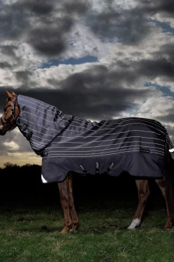 Sale Amigo Bravo 12 Reflectech Plus Turnout Rug with detachable Neck, 100g Lightweight Turnout Rugs