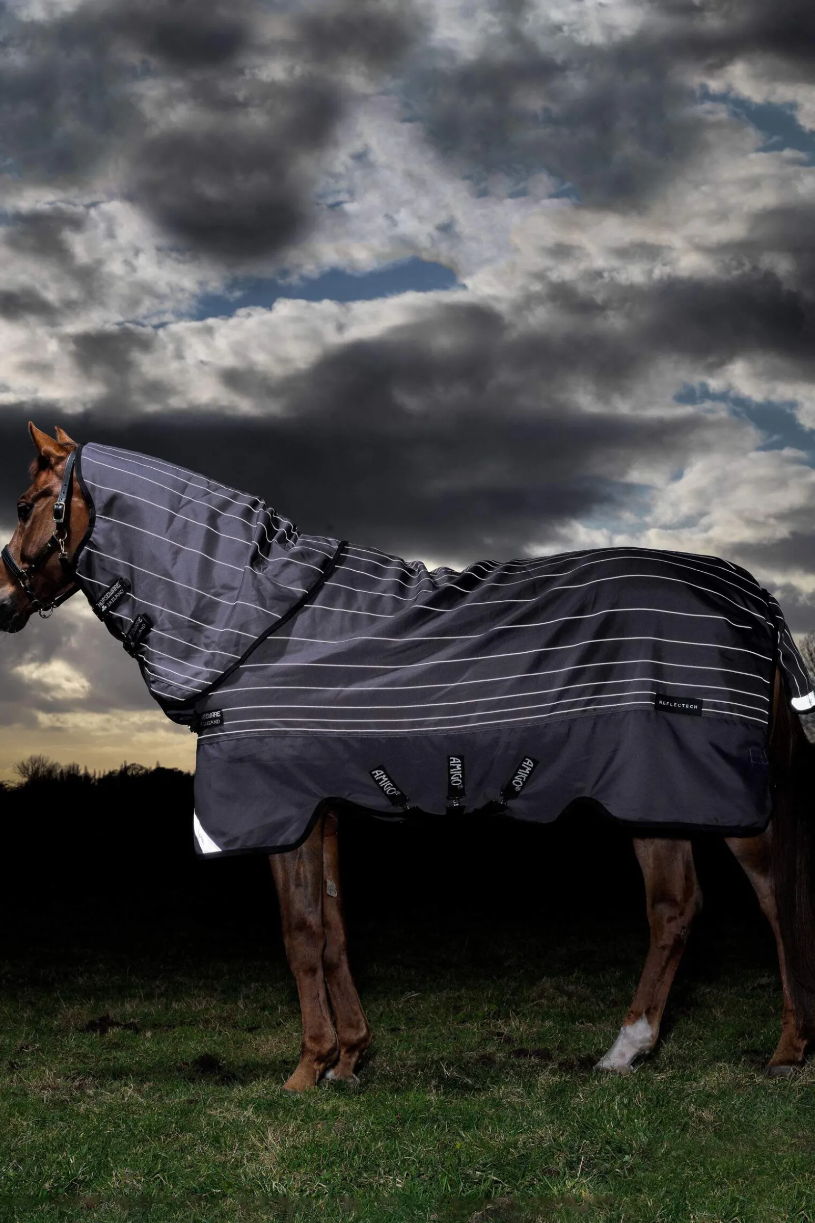 Sale Amigo Bravo 12 Reflectech Plus Turnout Rug with detachable Neck, 100g Lightweight Turnout Rugs