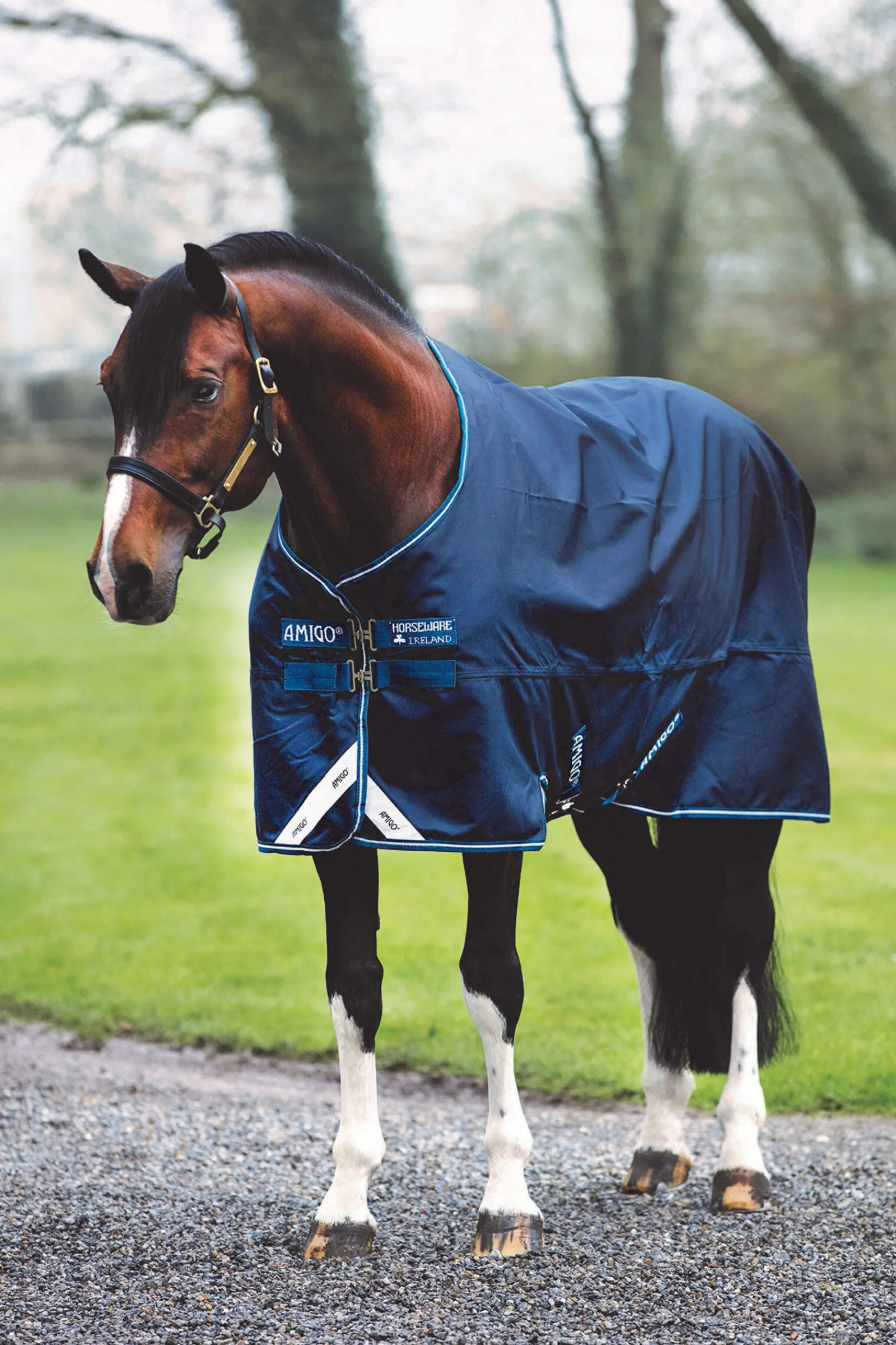 Fashion Amigo Bravo 12 Turnout Rug, 0g Lightweight Turnout Rugs