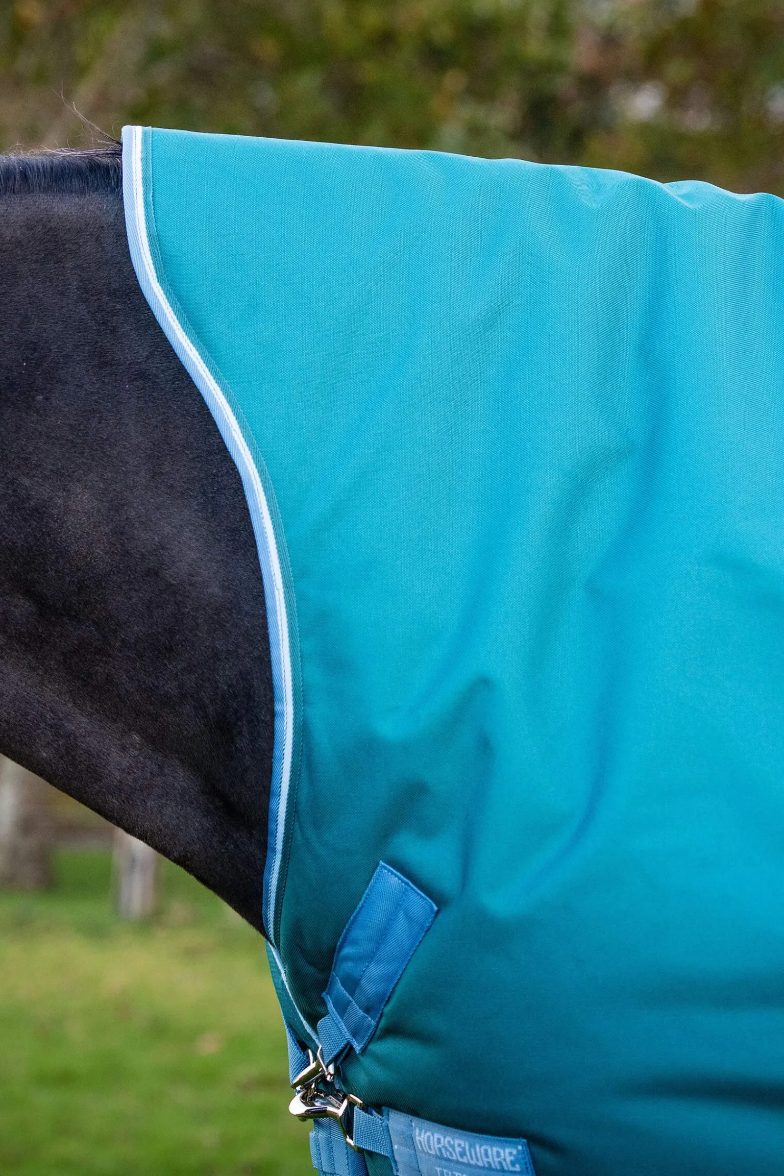 Fashion Amigo Bravo 12 Wug Turnout Rug With High Neck, 0g Lightweight Turnout Rugs