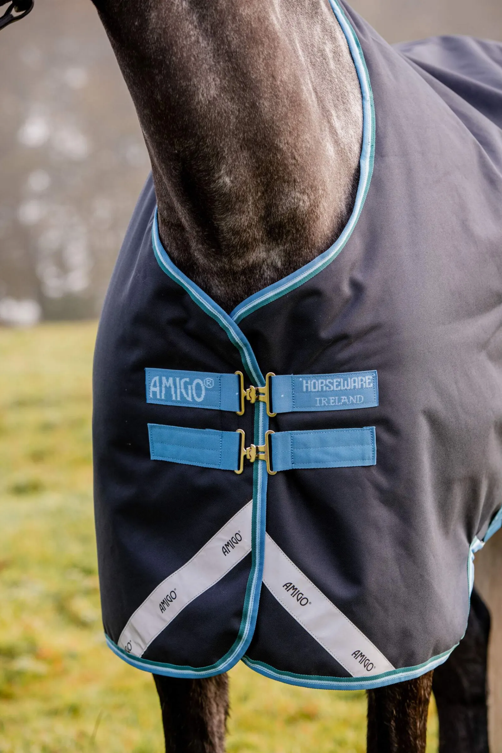 Sale Amigo Bravo Turnout Rug, 50g Lightweight Turnout Rugs