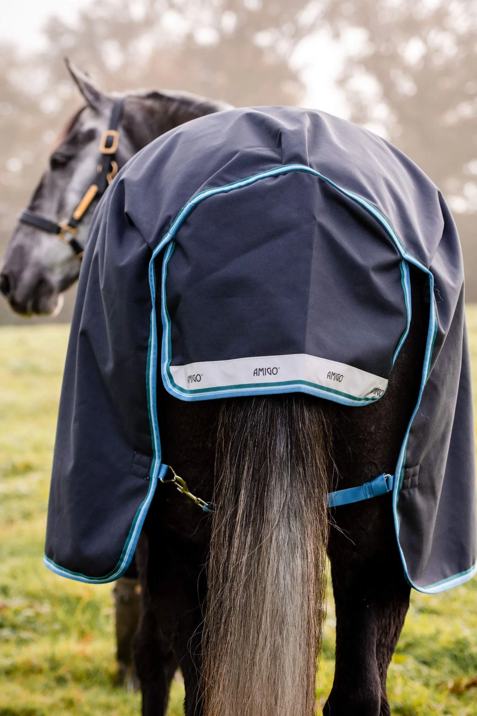 Sale Amigo Bravo Turnout Rug, 50g Lightweight Turnout Rugs