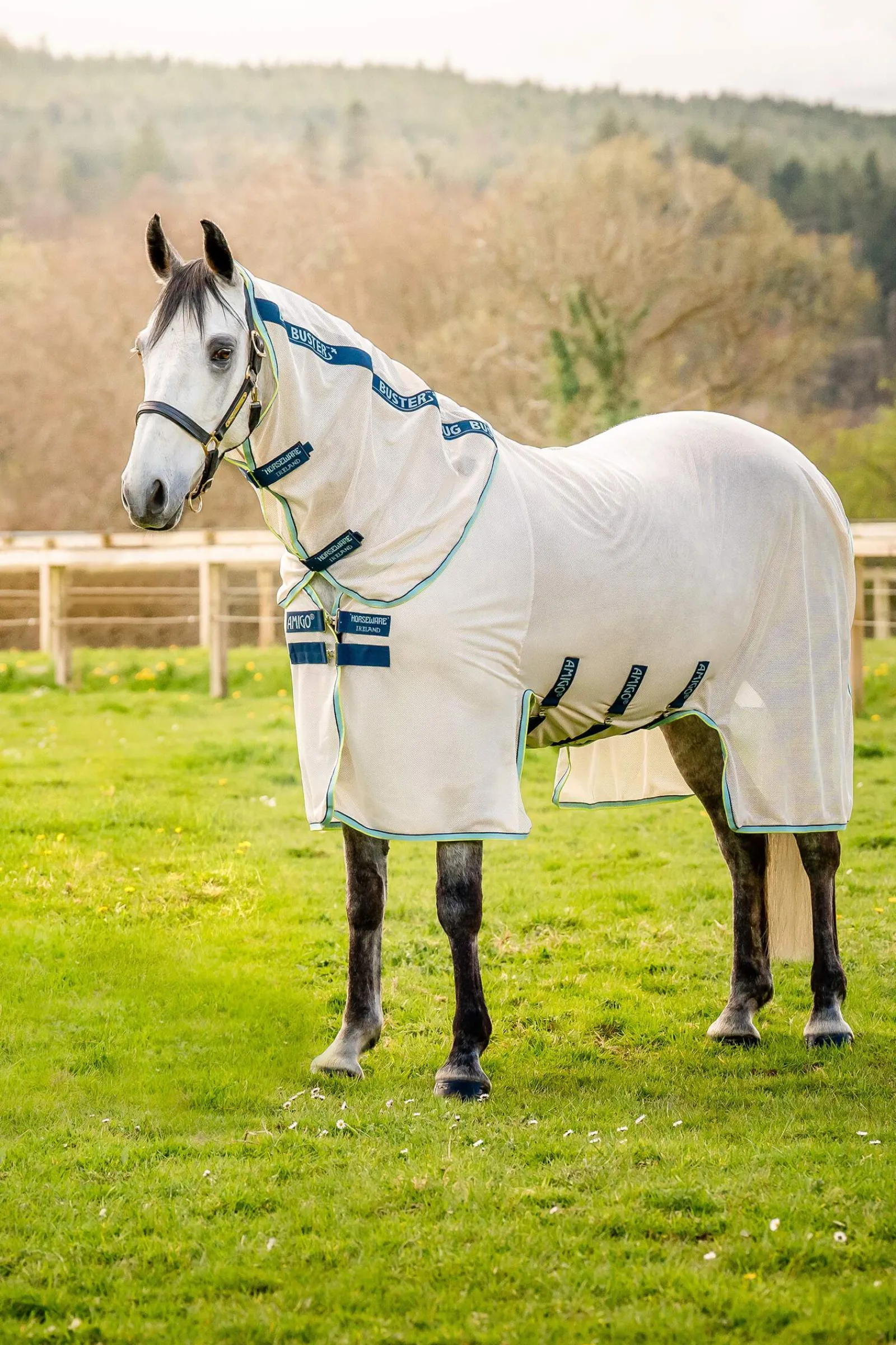 Sale Amigo Bug Buster Fly Rug With Detachable Neck Fly Rugs|Fly Rugs