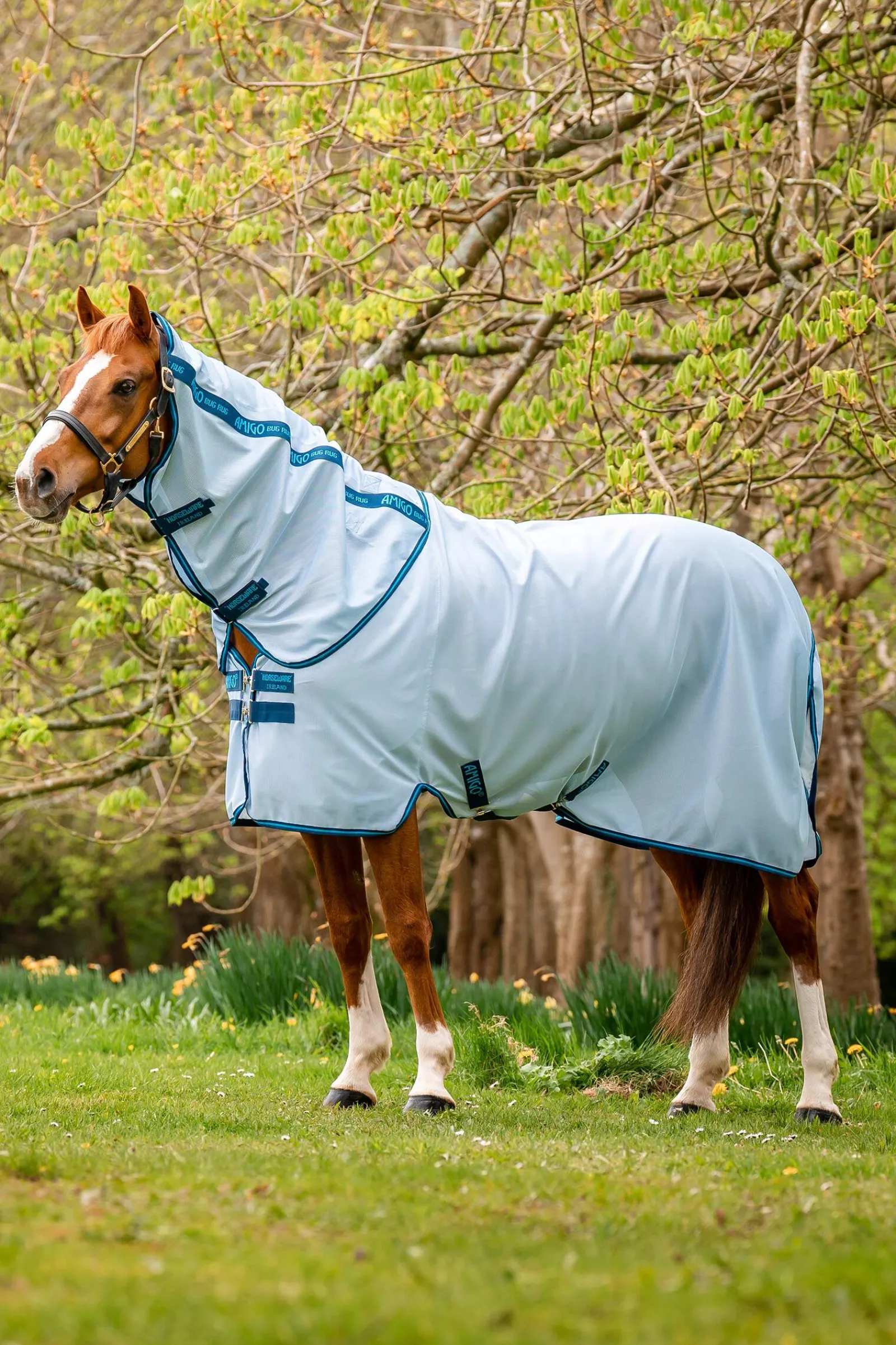 Online Amigo Bug Rug Fly Rugs|Fly Rugs