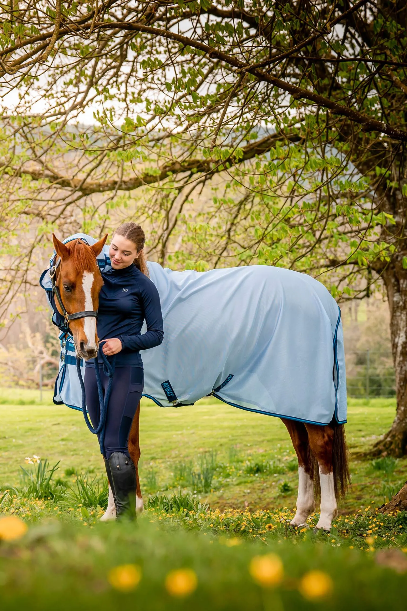 Online Amigo Bug Rug Fly Rugs|Fly Rugs