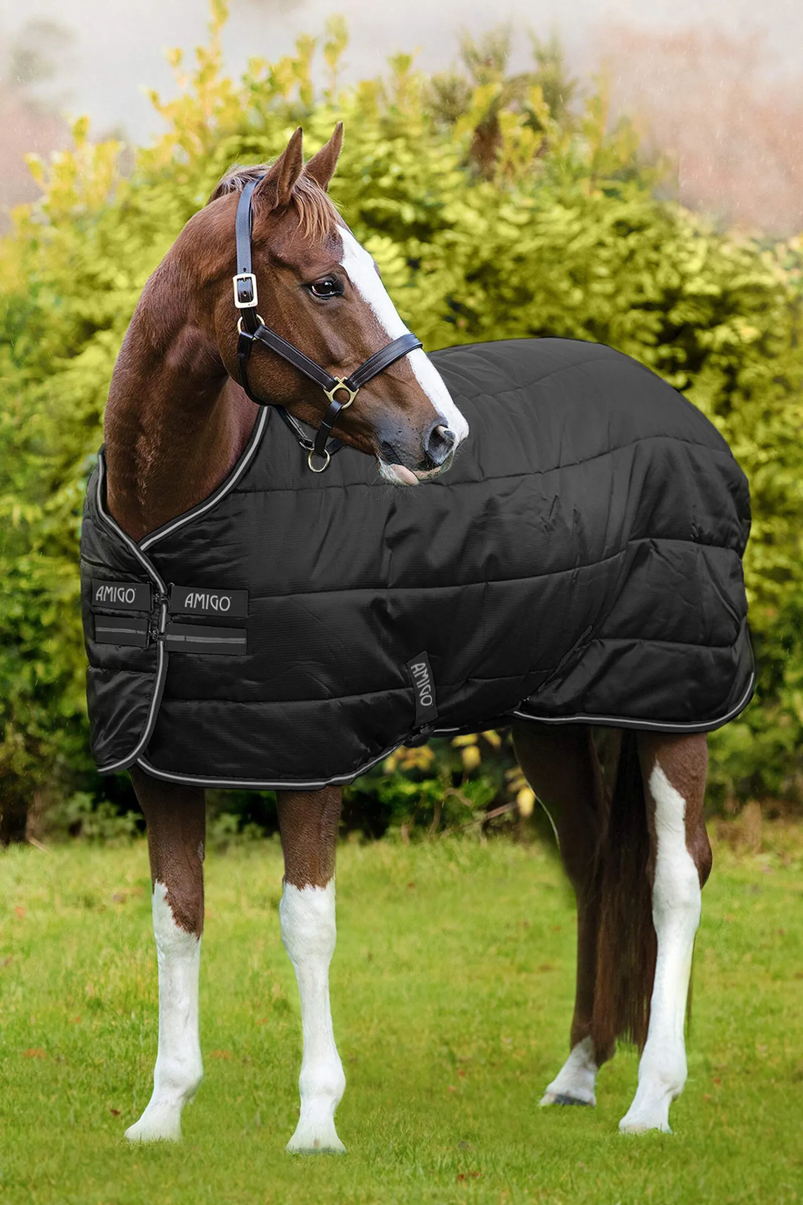 Discount Amigo Diamond Insulator Stable Rug, 200g Stable Rugs & Liners