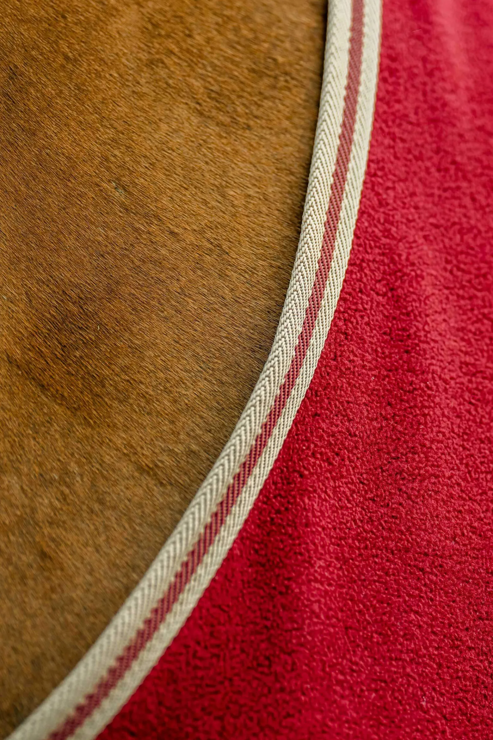 Hot Amigo Fleece Cooler Fleece Horse Rugs & Cooler Rugs