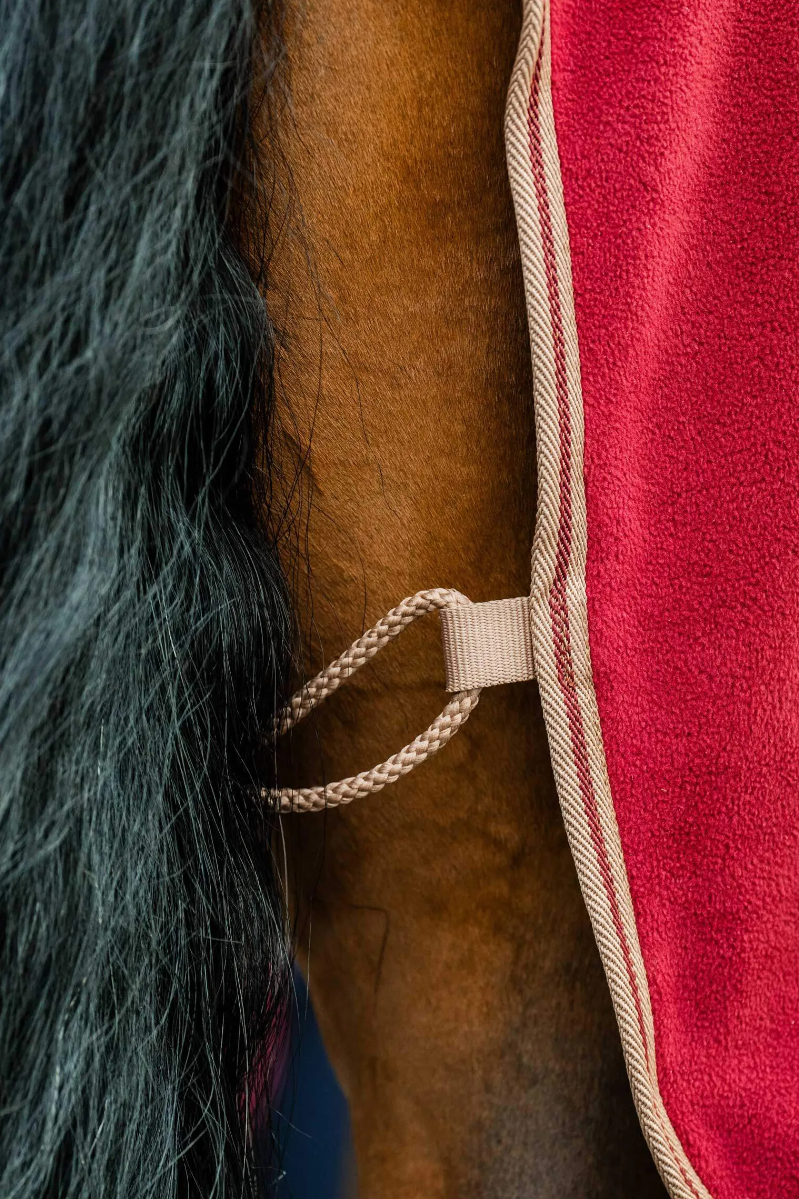 Hot Amigo Fleece Cooler Fleece Horse Rugs & Cooler Rugs