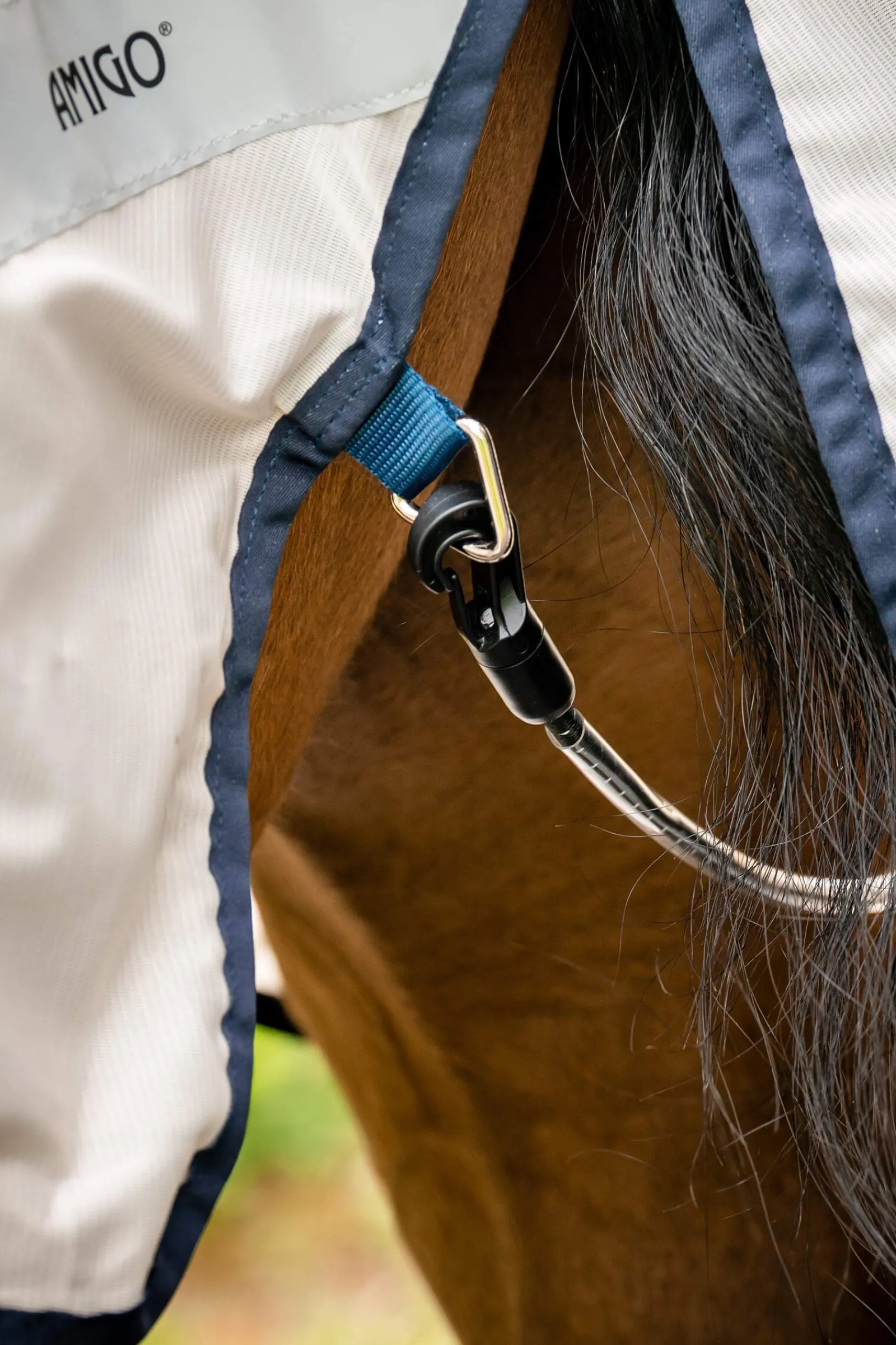 Clearance Amigo Flyrider, 0g Fly Rugs|Fly Rugs